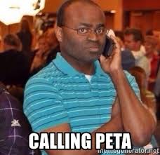 Calling peta - Black guy on phone | Meme Generator